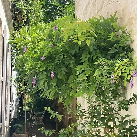 La Maison De La Glycine * Рошфор
